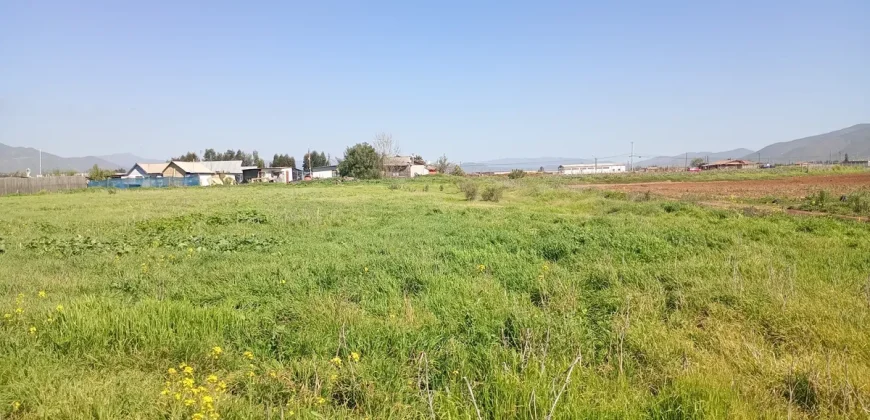 Parcela 5.001 Mts2 Rol Propio Sector Pan De Azúcar Coquimbo