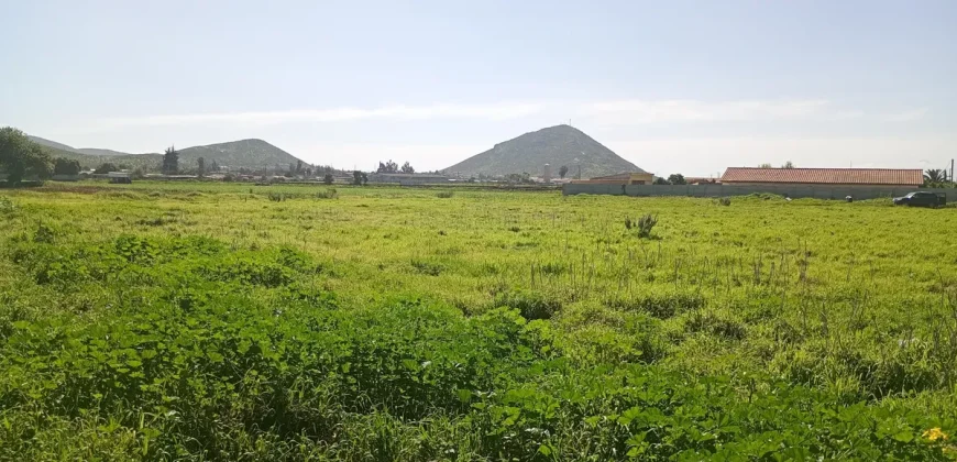 Parcela 5.001 Mts2 Rol Propio Sector Pan De Azúcar Coquimbo