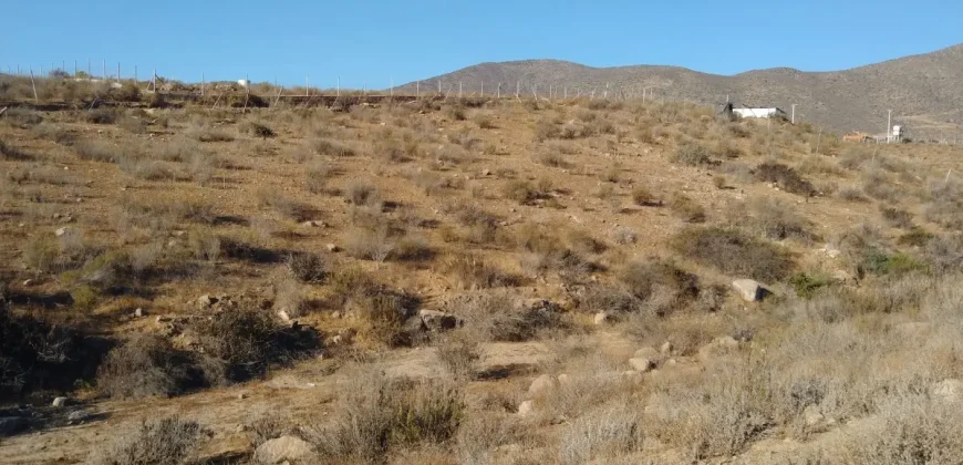 Terrenos 5.700 mt Sector La Estrella en 1ra Línea Valle Elqui